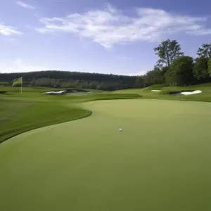 a golf ball on a large course