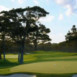 a golf course with a big tree