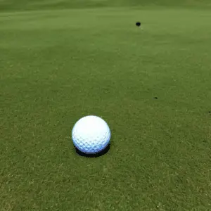 a kirkland golf ball on the course