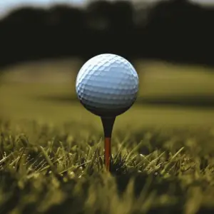 a dimpled ball on a wooden tee