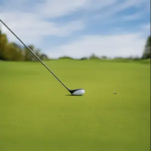 a golf club with a white clubhead