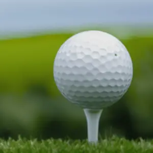 a small ball on a plastic tee