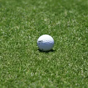 a small ball on the golf field
