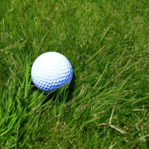 a small ball on thick grass
