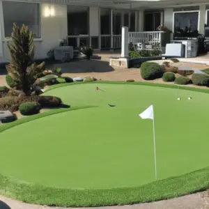 a small golf course in the yard