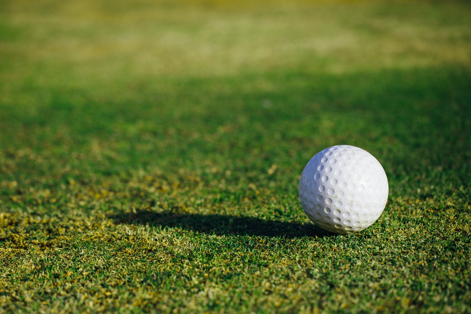 From Scratch to Swing How to Build Your Own Golf Green Champ Golf