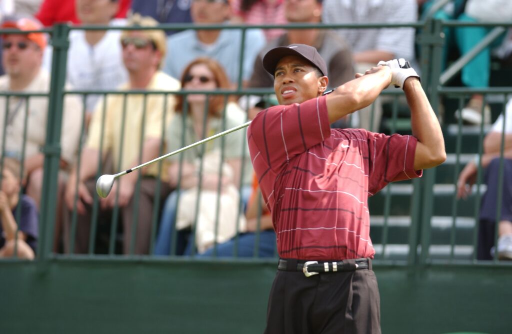 what golf clubs does tiger woods use