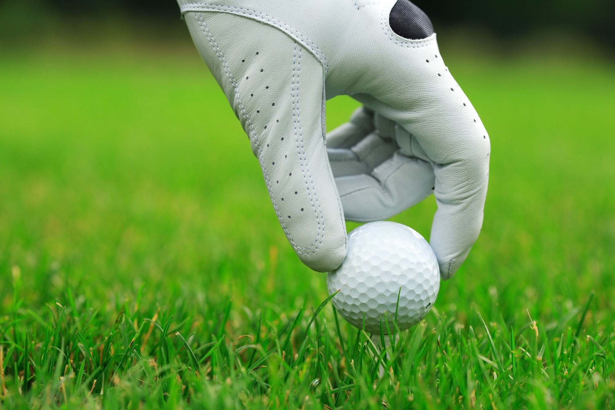 What Size Golf Glove Do I Need? Here's the Perfect Fit! - Champ Golf