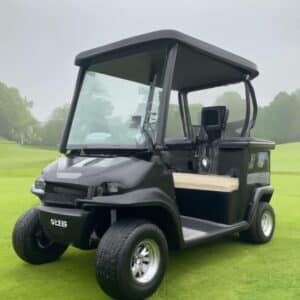  Parked golf cart on a lush green grass with a beautiful landscape in the background