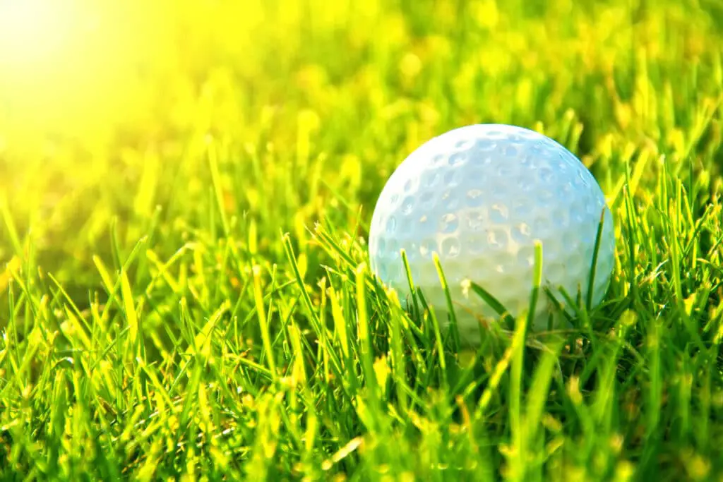 what golf balls do pros use
