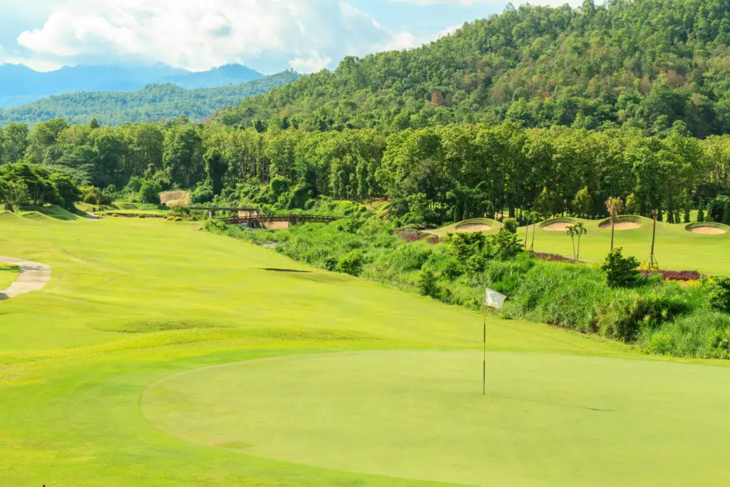 a golf course landscape