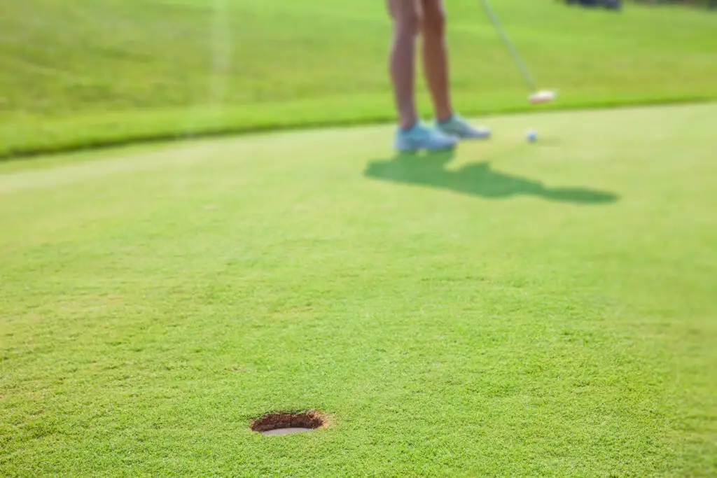 closeup hole in golf course