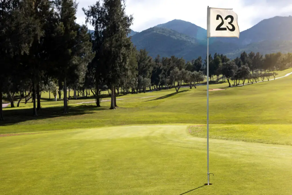 view of golf field with flag